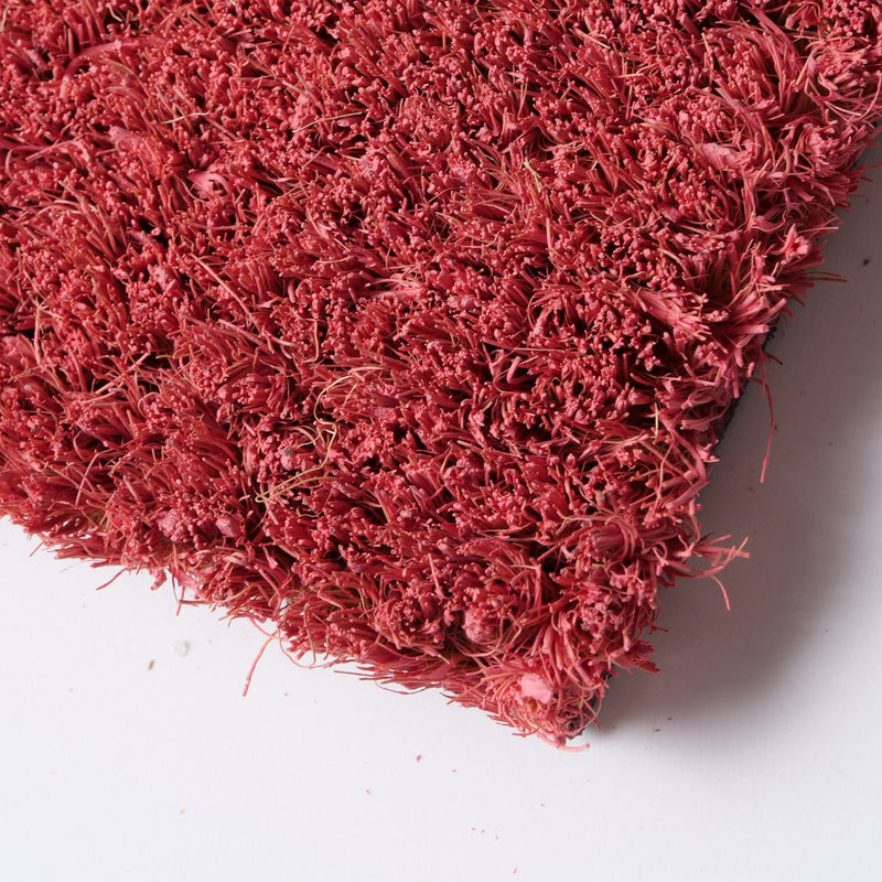 Elegante deurmat 'Love' in rood met stijlvolle letters