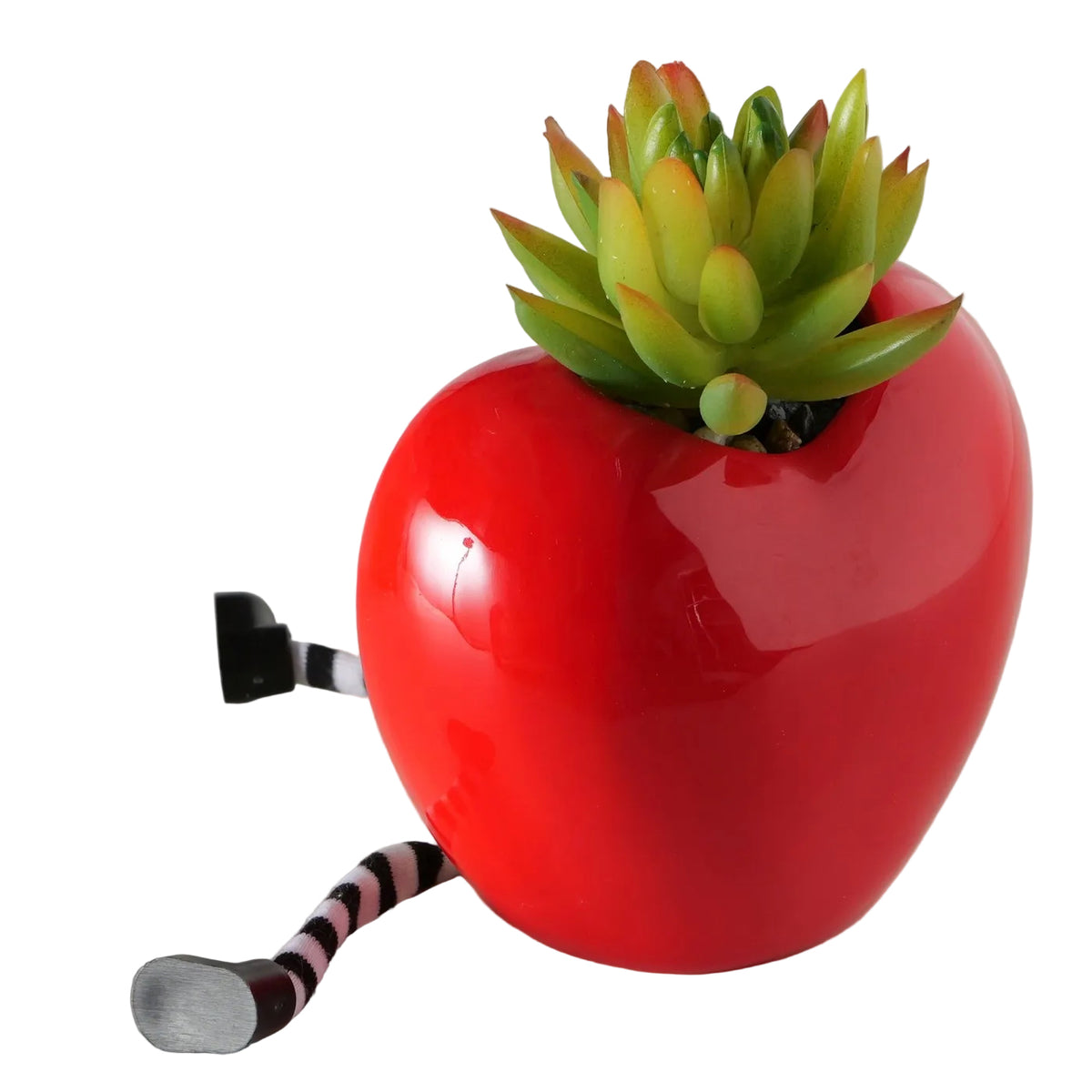 Deko Sukkulenten Foodie 2er Set Toast und Apfel 19 cm