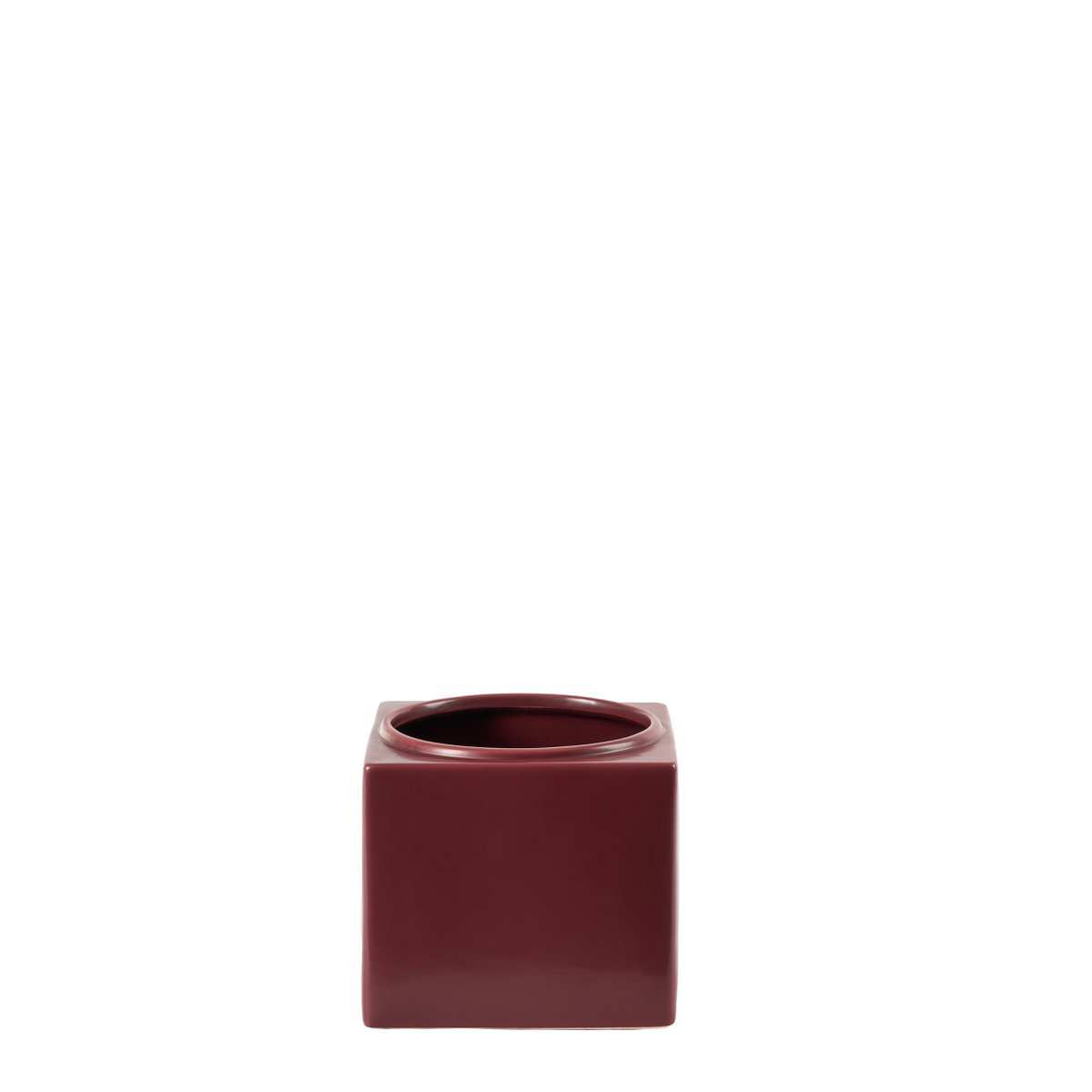 Belicia Wine Red Coral