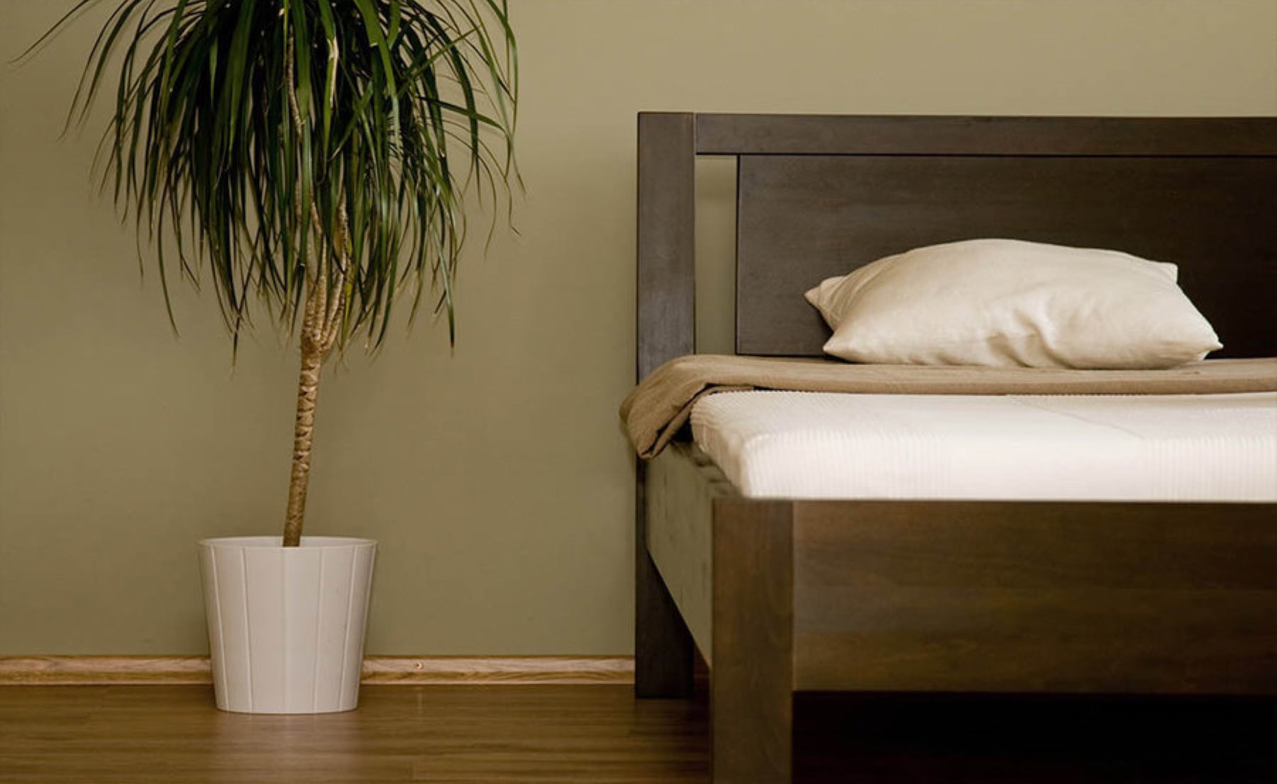 PEDENZA Massivholzbett